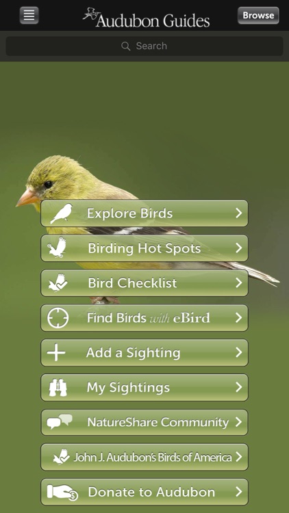 Audubon Birds of Central Park