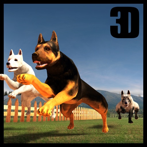 German Shepard Pet Dog Race 2017