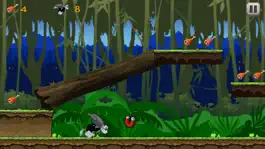 Game screenshot Superfly Rainforest Animals In Monkey King Jungle hack