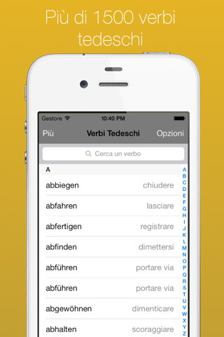 German Verb Conjugator Pro screenshot 2