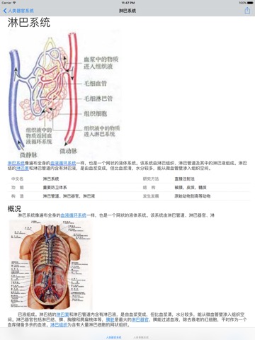 人类器官系统|人体骨骼构造大全のおすすめ画像1