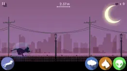 black cat run iphone screenshot 4