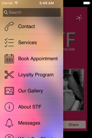 STF Mobile screenshot 2