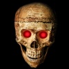 Crazzy Skullz - Amazing Skeleton Spooky Pictures