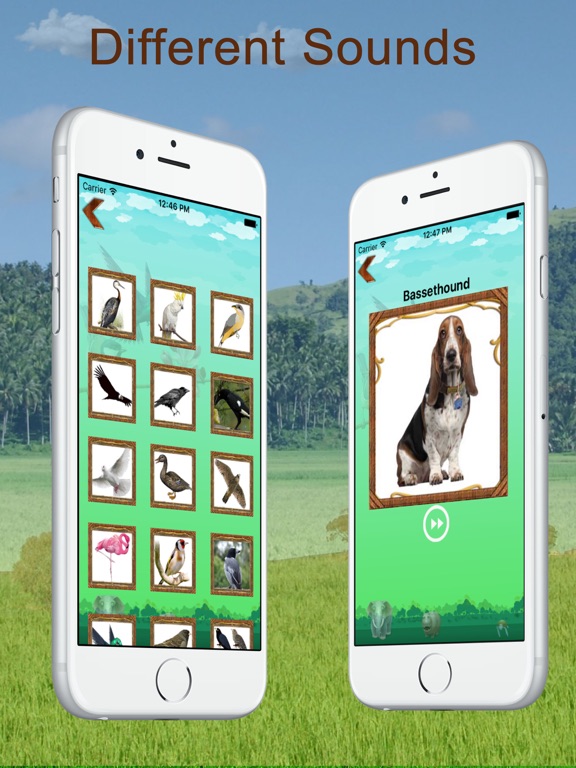 Screenshot #6 pour Animal And Bird Sounds