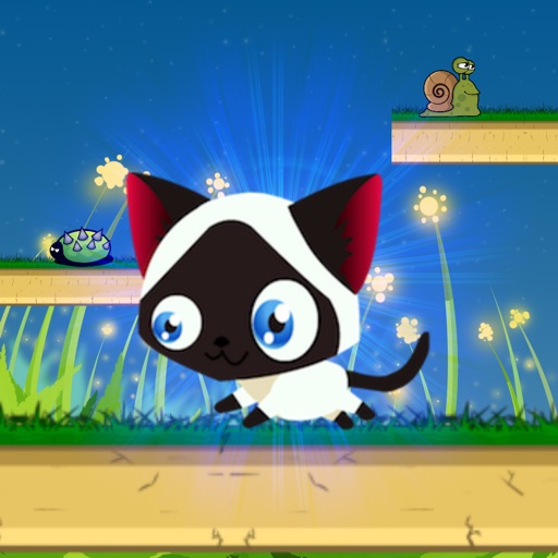 Cute Cat Run Pro iOS App