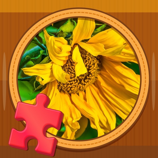 Free Jigsaw Puzzles: Cool Brain Training Jigsaws iOS App