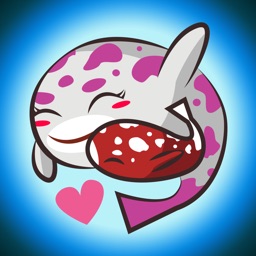 Zen Koi Premium Pack