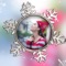 New Year Photo Collage is the best companion for Christmas moment