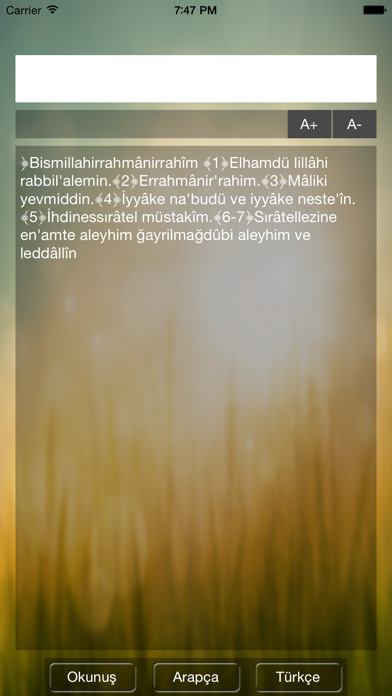 Screenshot #3 pour Fatiha Suresi