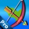 Arrow Tournament Pro: The Bow and Arrow Archery Game For Family, Friends And Kids