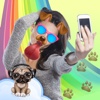 Snap Doggy Face Photo Filters: Picture Editor