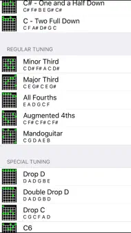 Guitar Tuner! iphone bilder 3