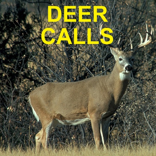 Deer Calls and Deer Sounds for Deer Hunter iOS App
