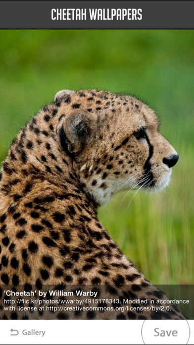 How to cancel & delete Cheetah Wallpapers from iphone & ipad 2