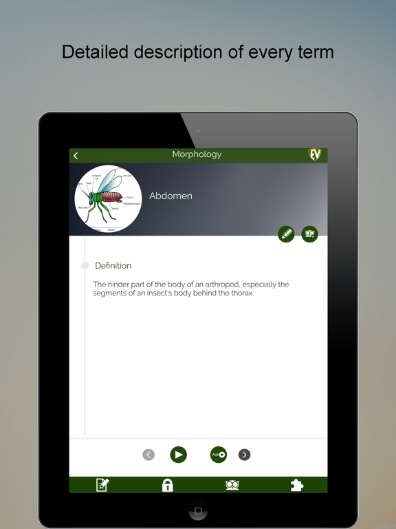 Screenshot #6 pour Entomology SMART Dictionary