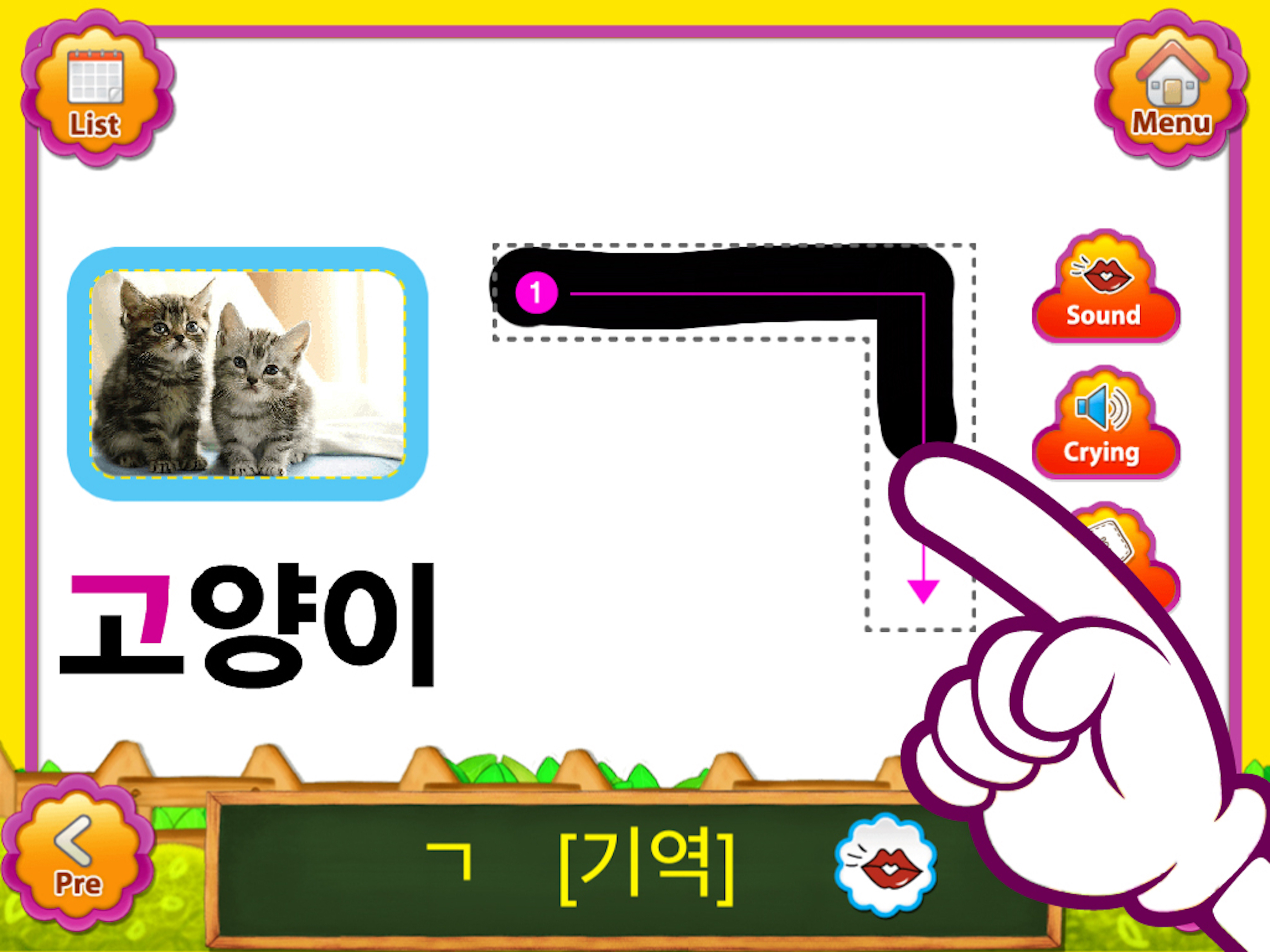 POPOYA Korean Animal FlashCards