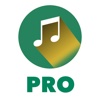 Nigerian Music Pro -  Naija Songs & Music Videos