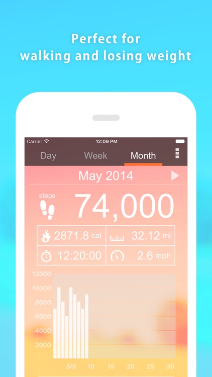 Pedometer - Perfect for walking and dieting