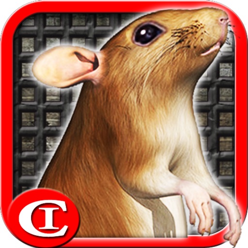 Sewer Rat Run! 3D HD Plus iOS App