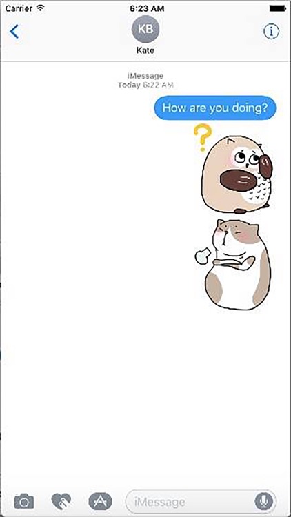 Cat Cute Story