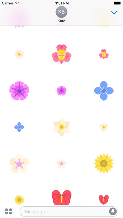 Flower Stickers - Flowers that Stick