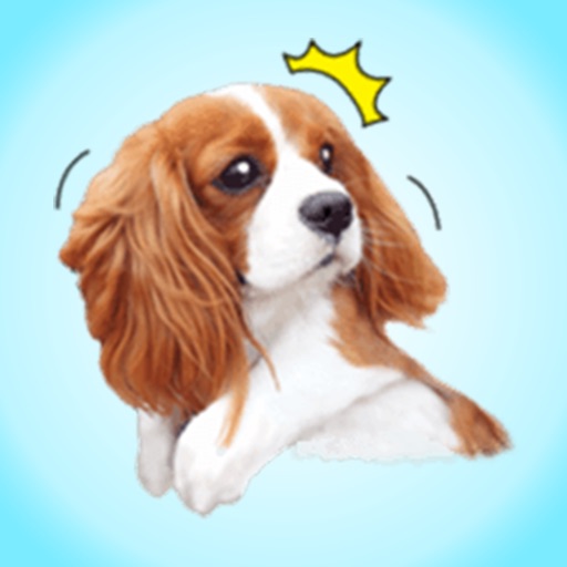 Spaniel Life - Stickers Pack! icon