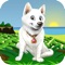 Cool Dog 3D My Cute Puppy Maze Game for Kids Free