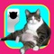 CatMoji are 100% CAT emojis that enable you to communicate through cat emotions
