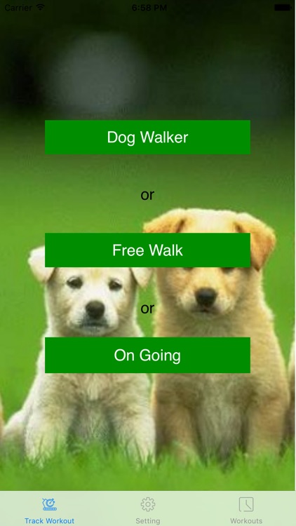 Dog Walker - Fitness Run