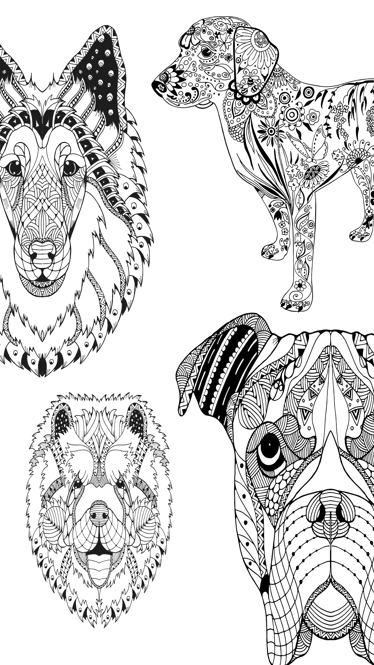Mandalas dog - Coloring pages for adults screenshot 5
