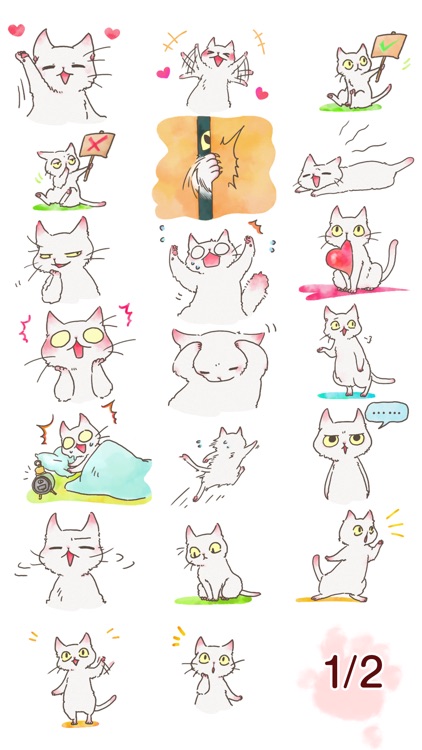 White Cat