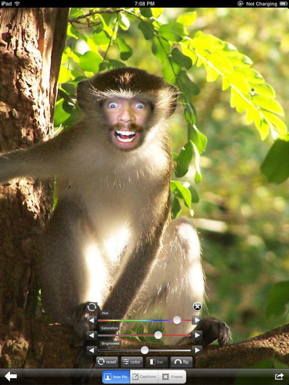 Zoo Me! iPad screenshot 1 - Photo & Video app