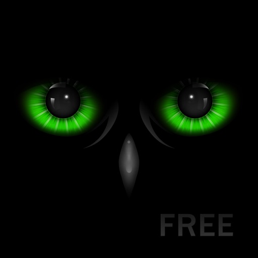 Night Eyes FREE - Low Light Camera