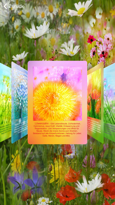 Screenshot #2 pour Heilpflanzen Karten