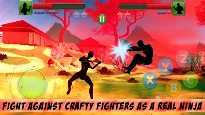 Shadow Kung Fu Fighting 3Dのおすすめ画像2