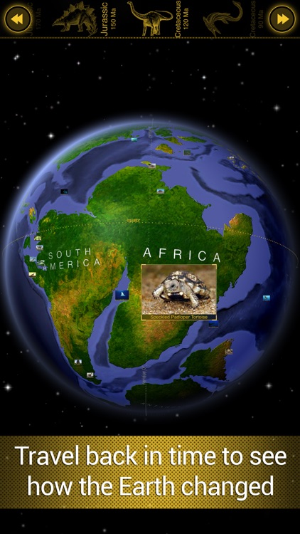 Dino Walk: Continental Drift & Ice Age Period