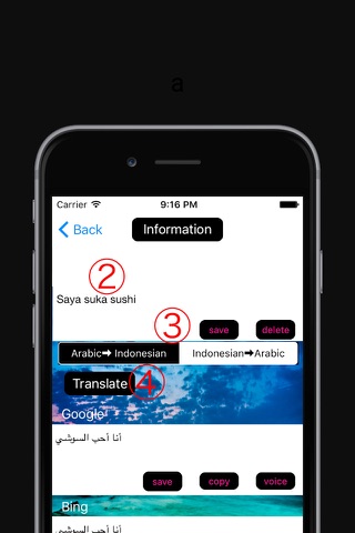Arabic to Indonesian Language Translation & Dictionary / العربية اللغة الإندونيسية والترجمة قاموس screenshot 2
