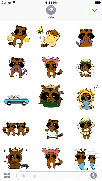 Raccoon Zodiac Animated