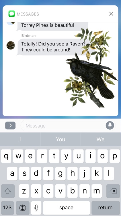 Birds - Premium Stickers - Volume 2