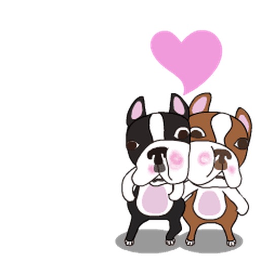 Animated Boston Terrier Dog Stickers icon