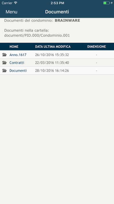 BrainWare Web - Condomini iPhone screenshot 4
