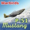 Warbirds P-51 Mustang lite
