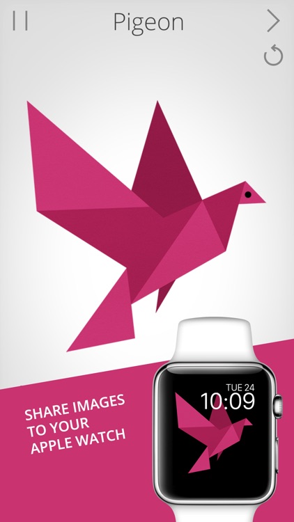 Cardinal Land - Jigsaw & Tangram Puzzle Blend screenshot-4