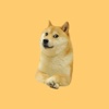 Doge Stickers