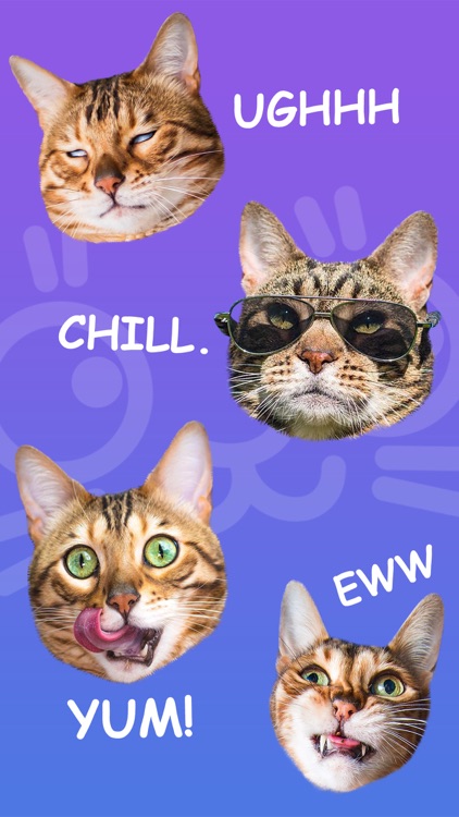 Cat Stamp! Cute Stickers of Cats screenshot-2
