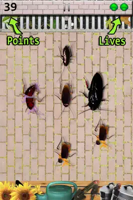 Game screenshot Cockroach Smasher - Best Game apk