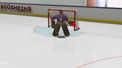 Virtual Goaltender screenshot1