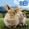 Forest Rabbit Wildlife Simulator 3D Full