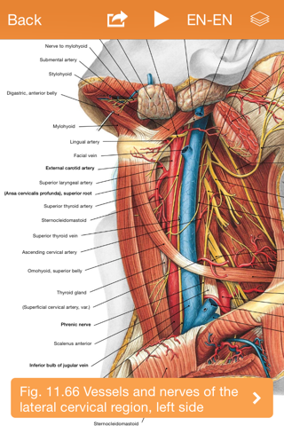 Sobotta Anatomy Atlas screenshot 4